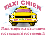 Taxi-chien